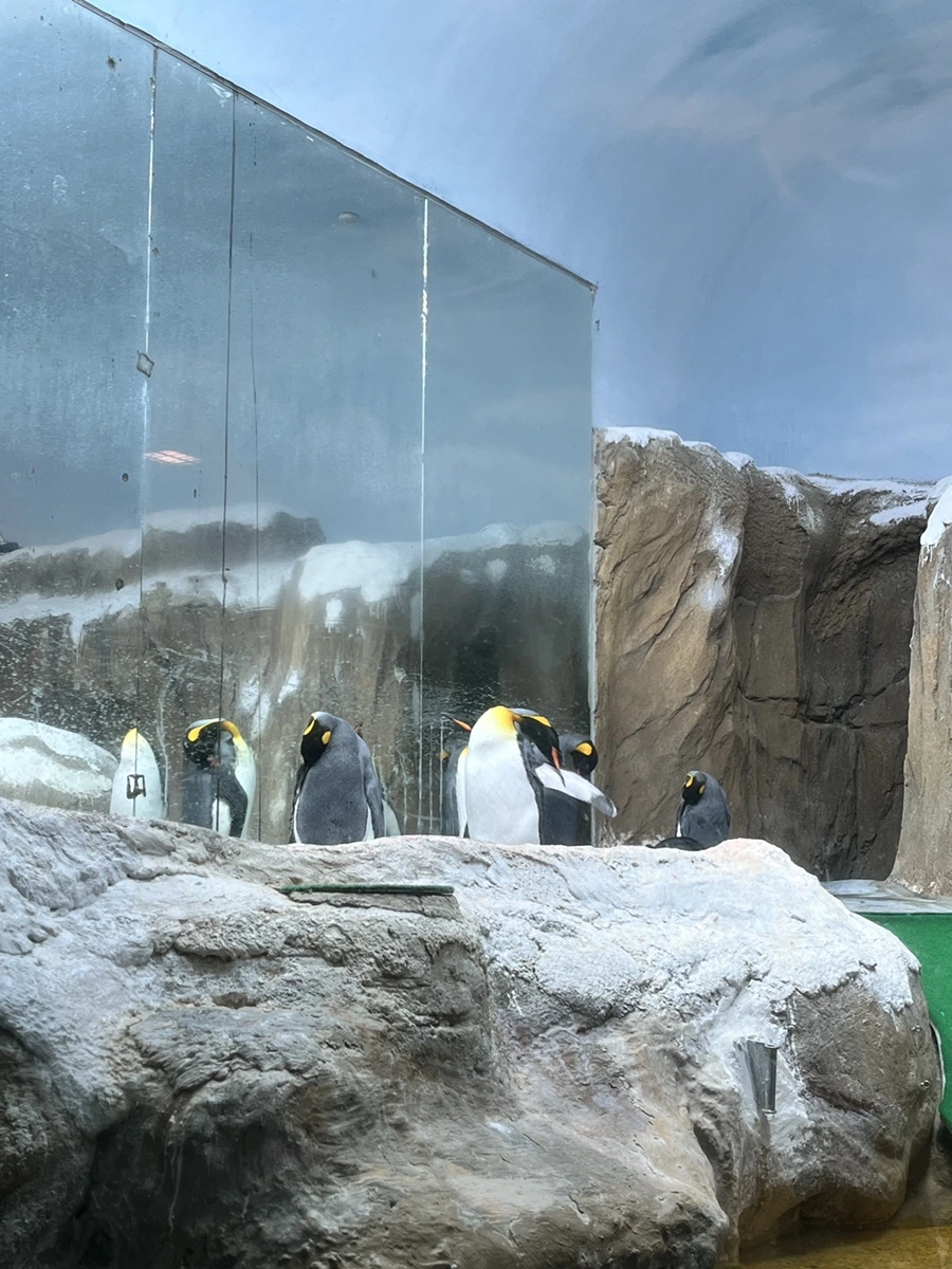 IMG_4460.JPG?type=w966