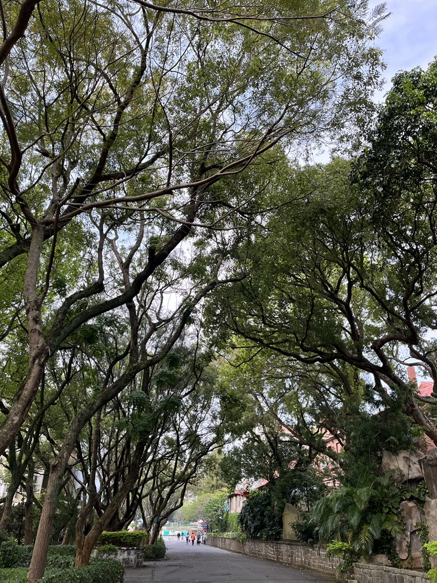 IMG_2883.JPG?type=w966