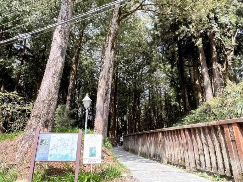 IMG_9068.JPG?type=w773