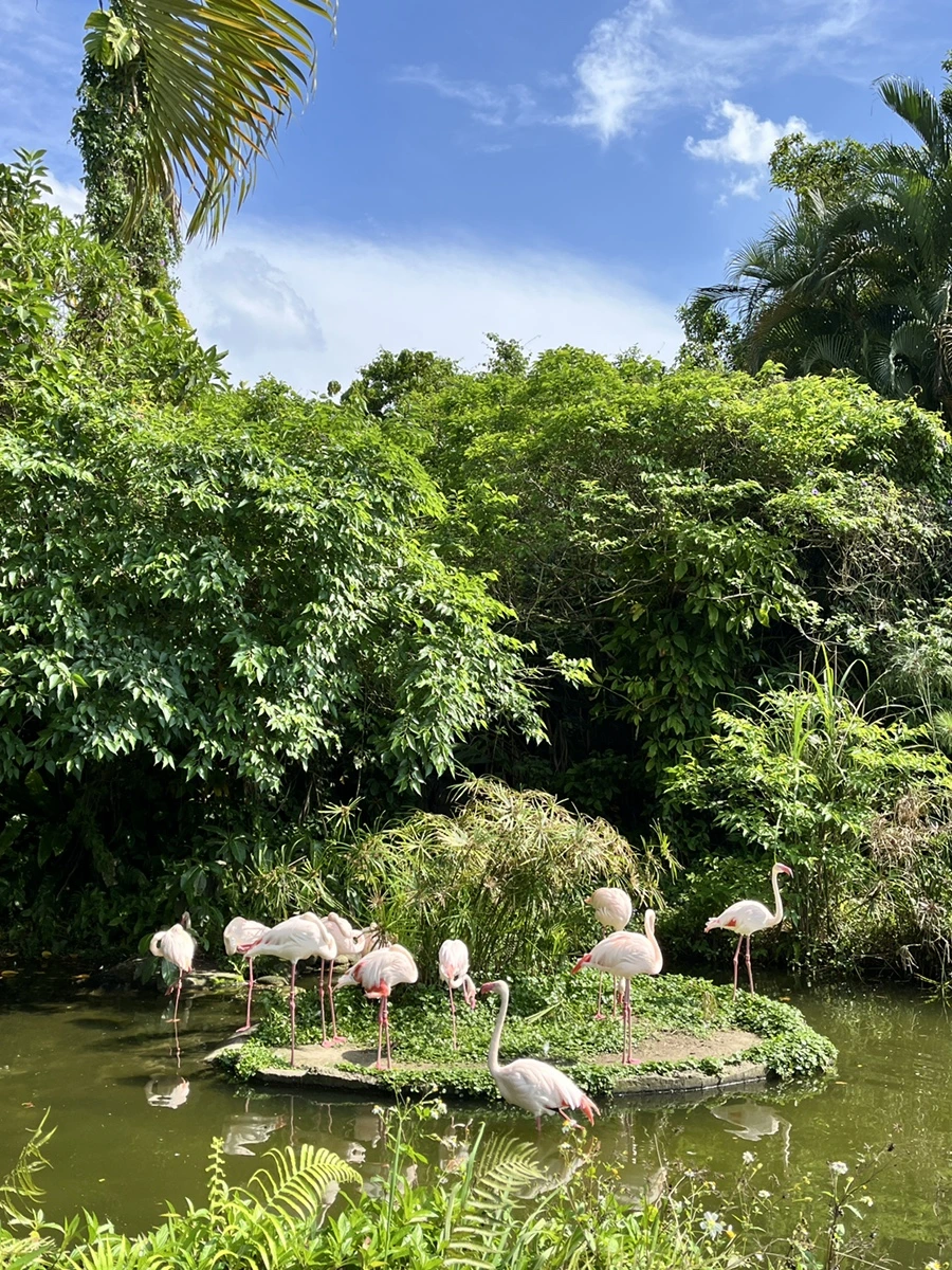 IMG_4518.JPG?type=w966