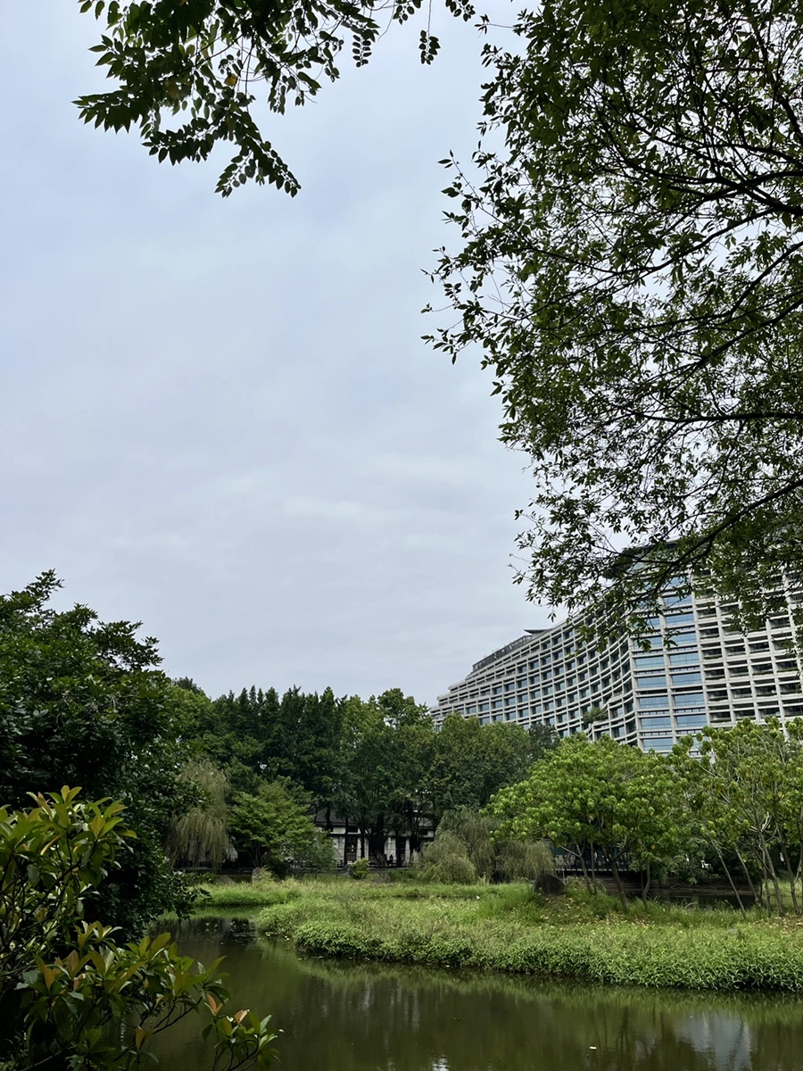 IMG_4582.JPG?type=w966