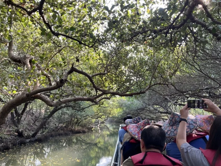 IMG_9448.JPG?type=w773