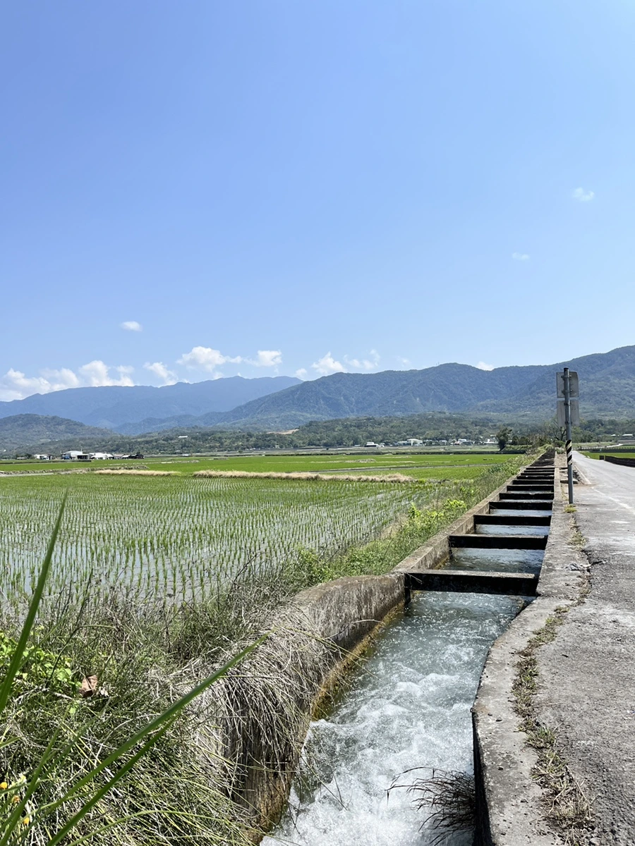 IMG_1385.JPG?type=w966