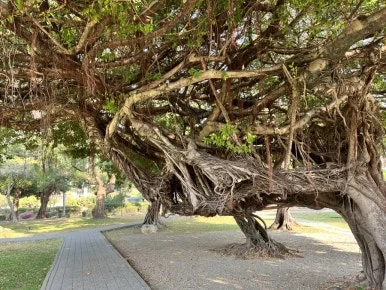 IMG_8626.JPG?type=w386