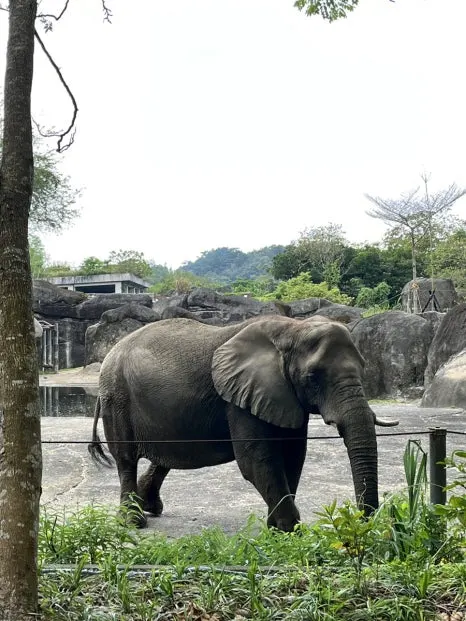 IMG_4475.JPG?type=w466