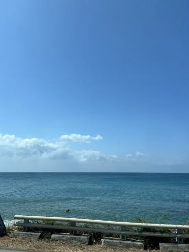 IMG_0746.JPG?type=w386