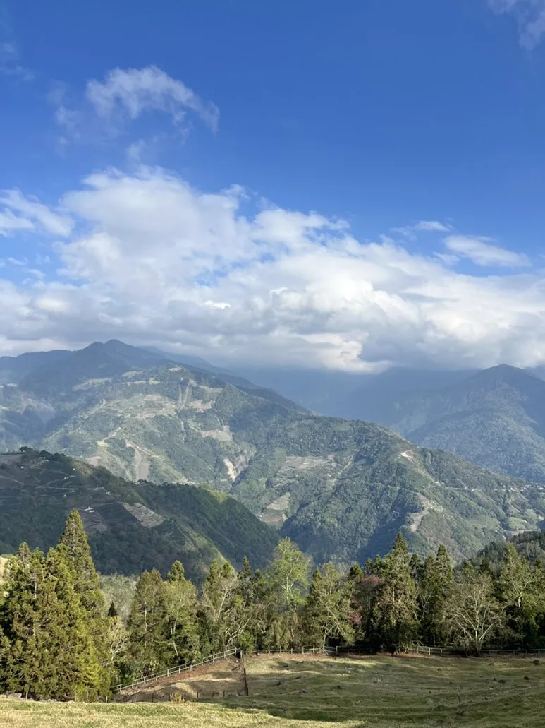 IMG_8559.JPG?type=w773