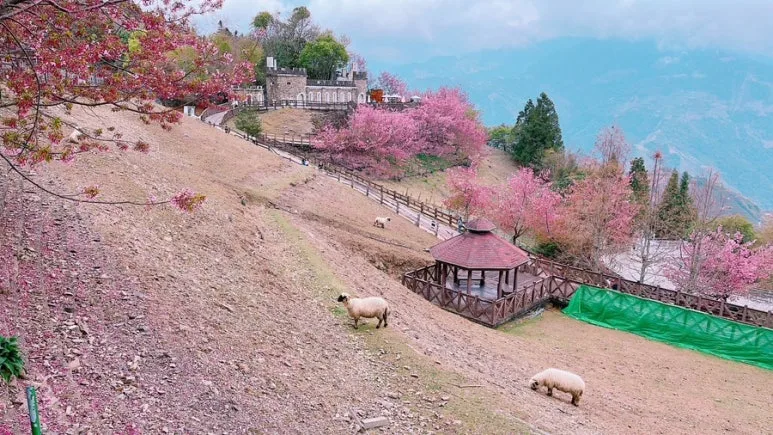 IMG_8482.JPG?type=w773