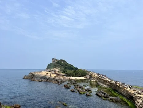 IMG_3550.JPG?type=w466