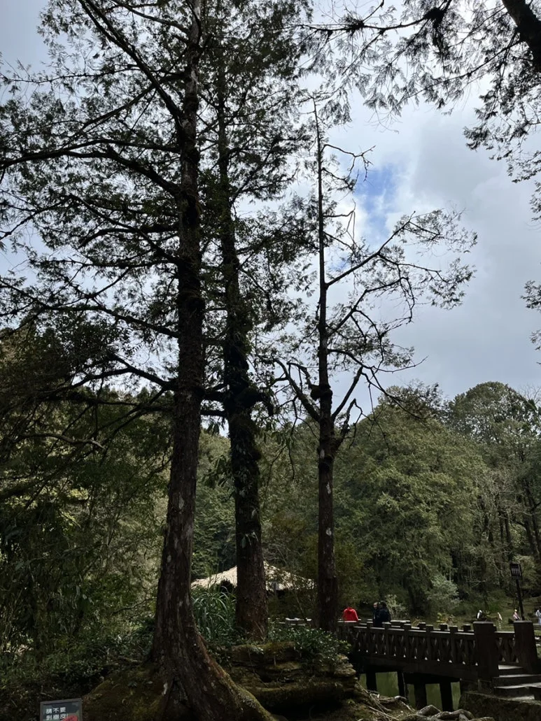 IMG_9097.JPG?type=w773