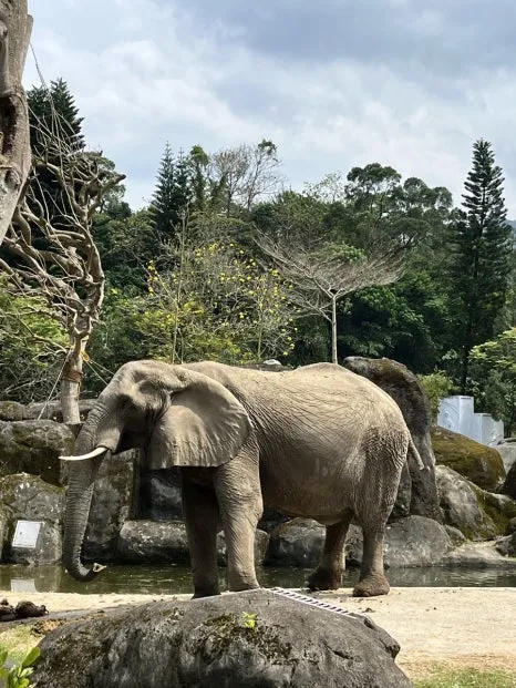 IMG_4480.JPG?type=w466