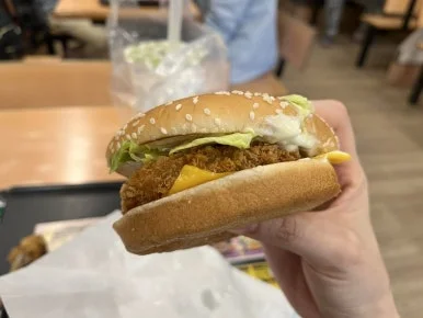 IMG_0013.JPG?type=w386