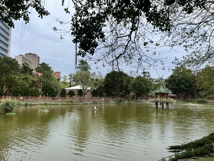 IMG_4176.JPG?type=w966