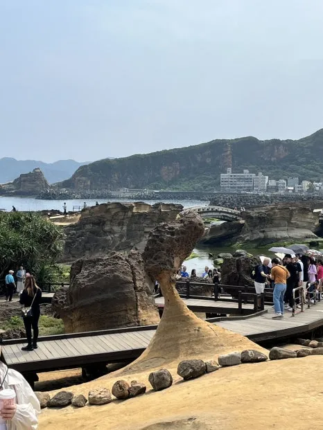 IMG_3517.JPG?type=w466