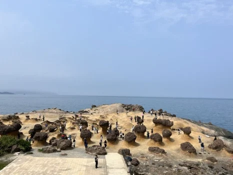 IMG_3549.JPG?type=w466