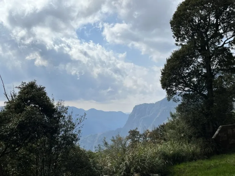 IMG_9181.JPG?type=w773