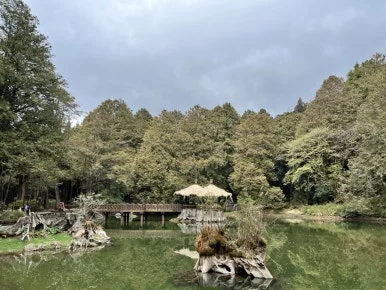 IMG_9090.JPG?type=w386