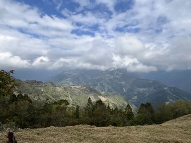 IMG_8510.JPG?type=w386