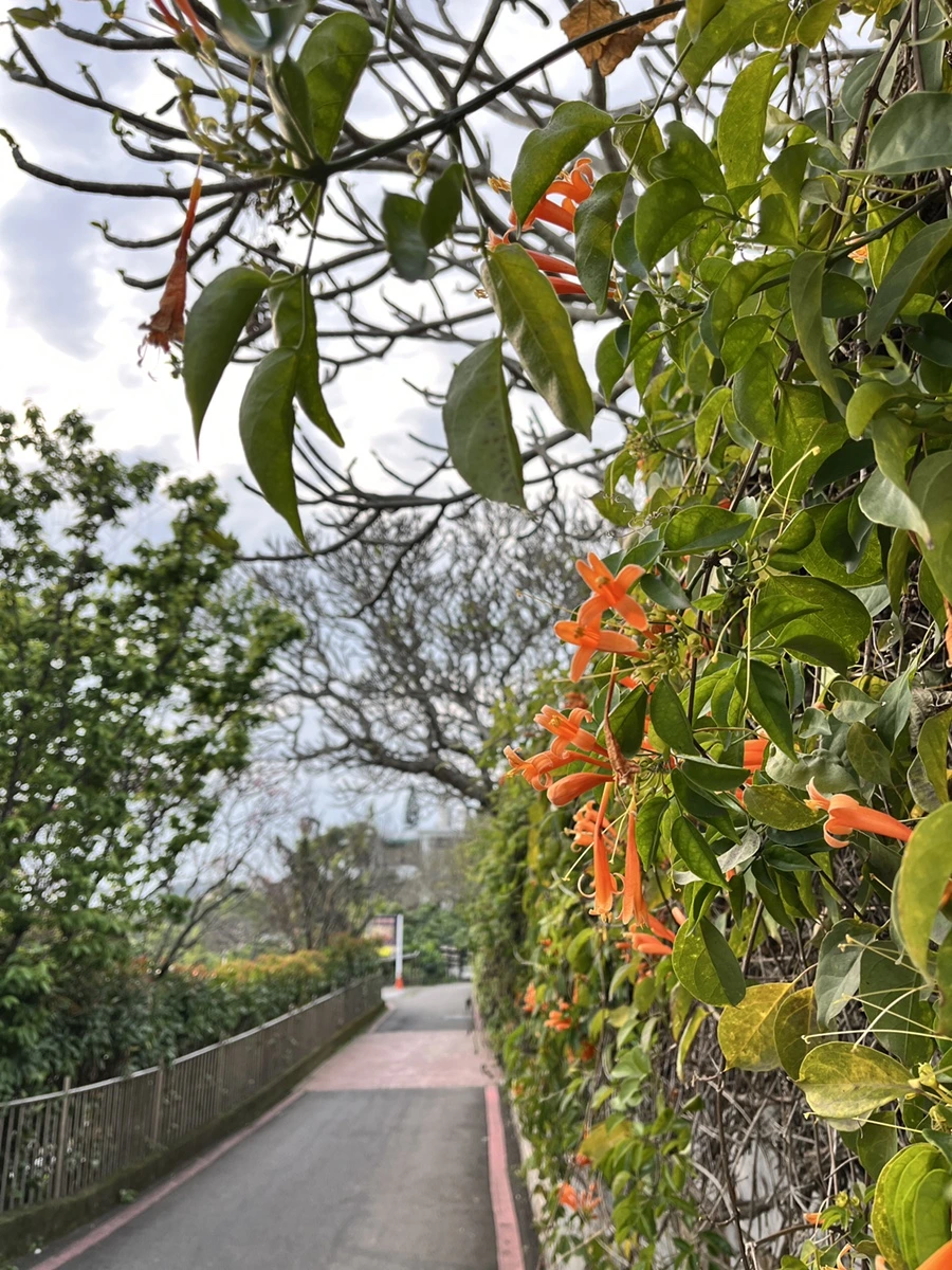 IMG_2914.JPG?type=w966