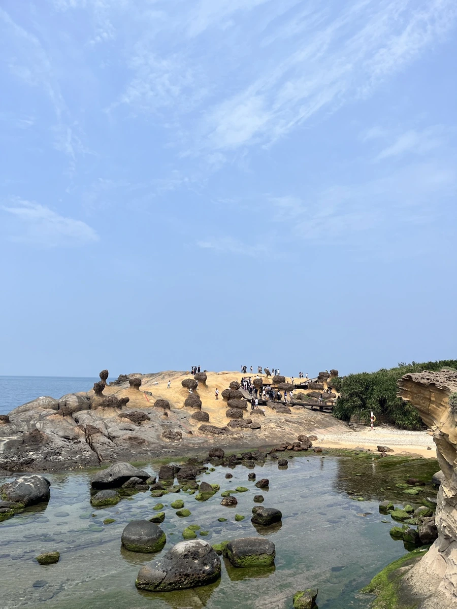 IMG_3513.JPG?type=w966