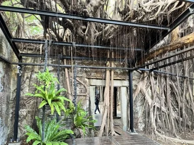 IMG_9500.JPG?type=w386