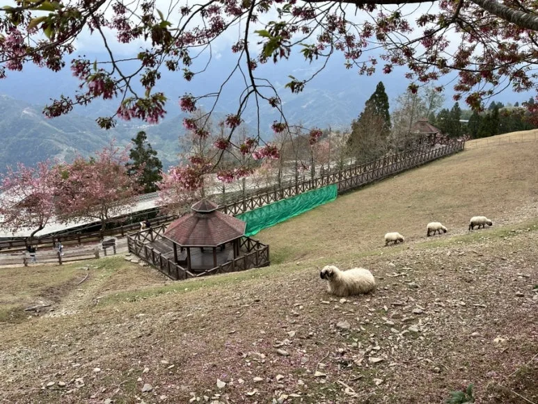 IMG_8476.JPG?type=w773