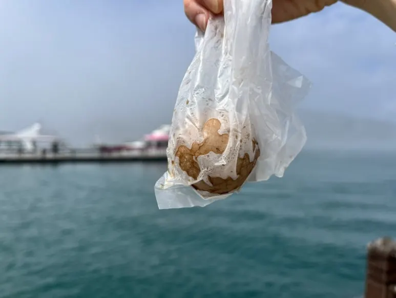 IMG_8379.JPG?type=w773