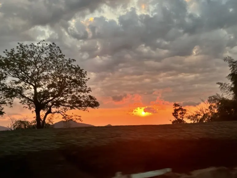 IMG_9297.JPG?type=w773