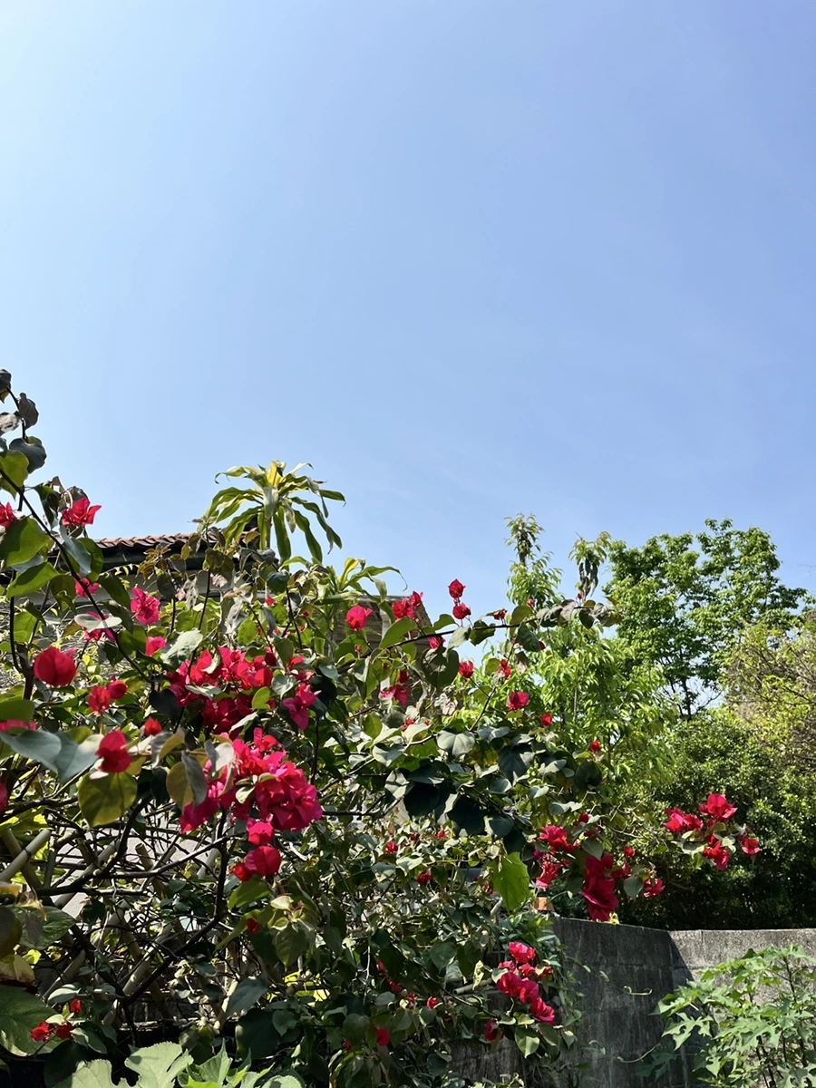 IMG_2726.JPG?type=w966