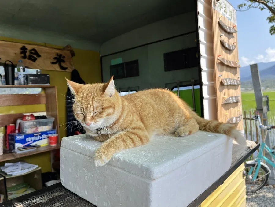 IMG_1362.JPG?type=w966