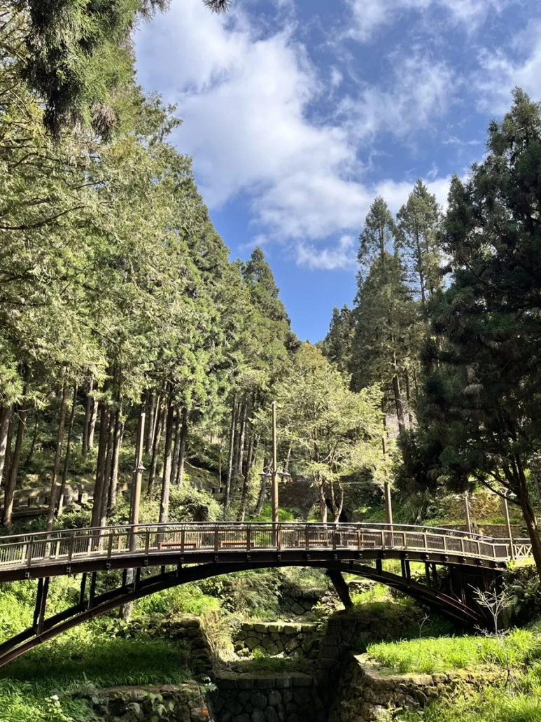 IMG_9146.JPG?type=w773