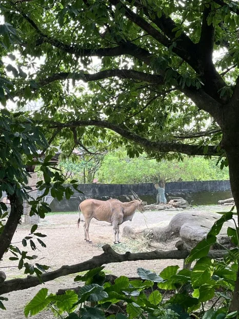 IMG_4482.JPG?type=w466