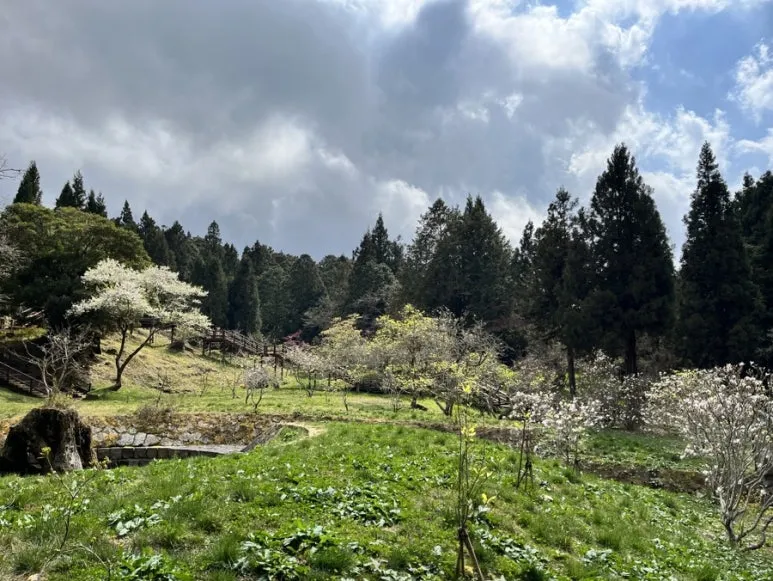 IMG_9124.JPG?type=w773