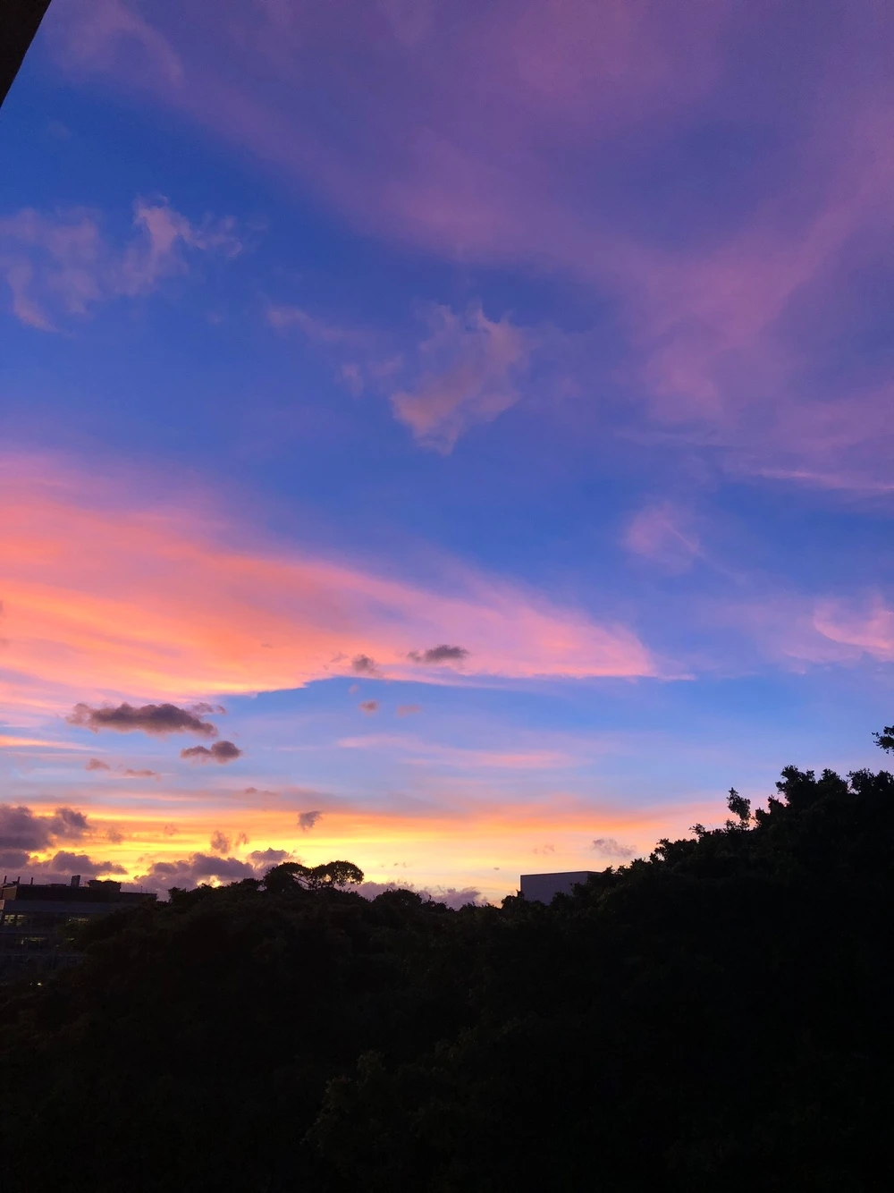 하와이 기숙사 하늘.jpeg