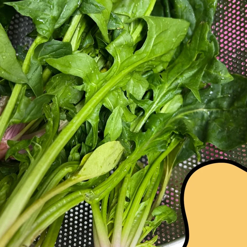 %EC%A0%9C%EB%AA%A9_%EC%97%86%EB%8A%94_%EC%95%84%ED%8A%B8%EC%9B%8C%ED%81%AC_2.jpg?type=w1