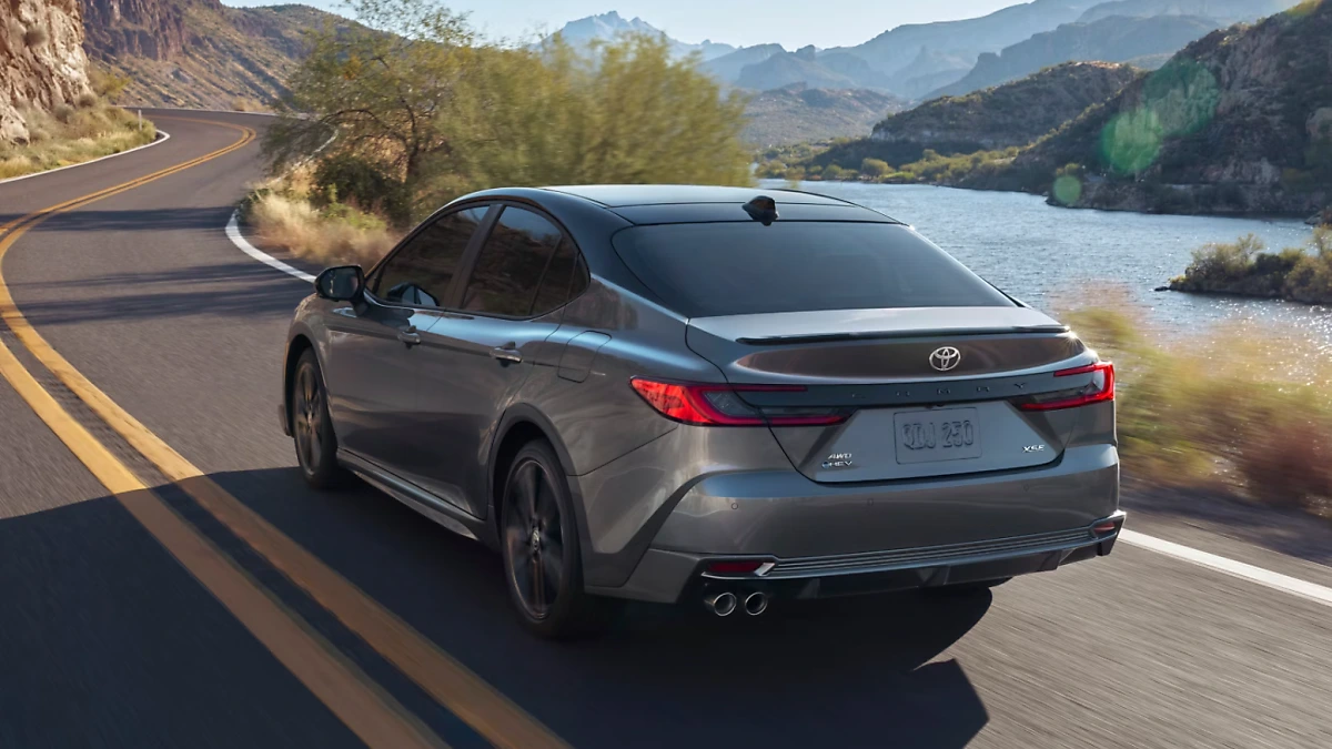 image_7718128191728206859120.png?type=w1200