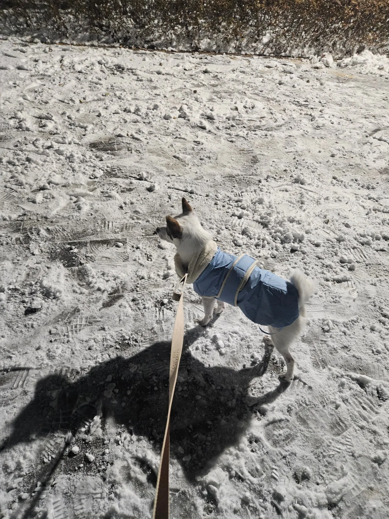 1280%EF%BC%BF20251204%EF%BC%BF220705.jpg?type=w1600