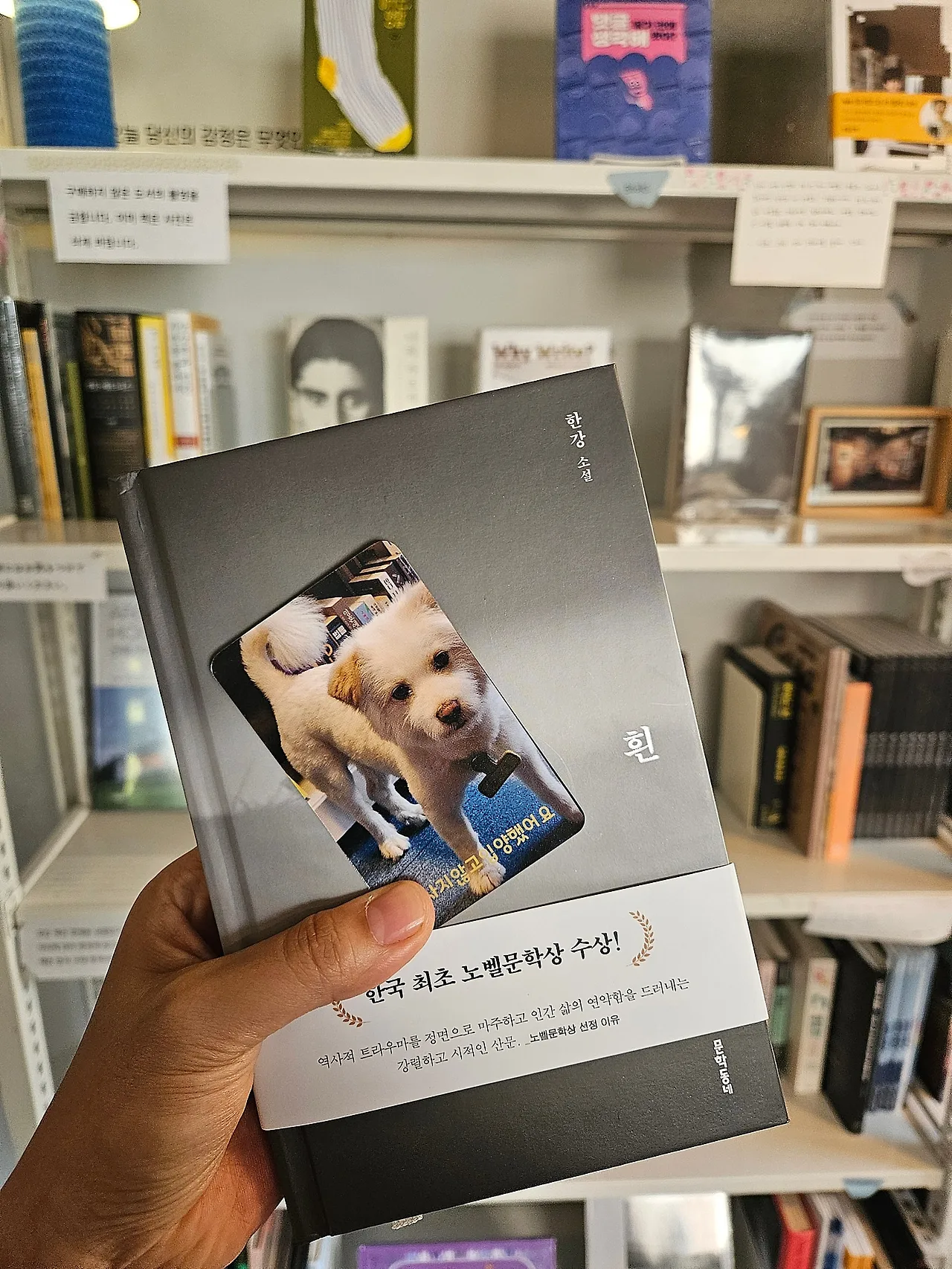 1000012134.jpg?type=w1600