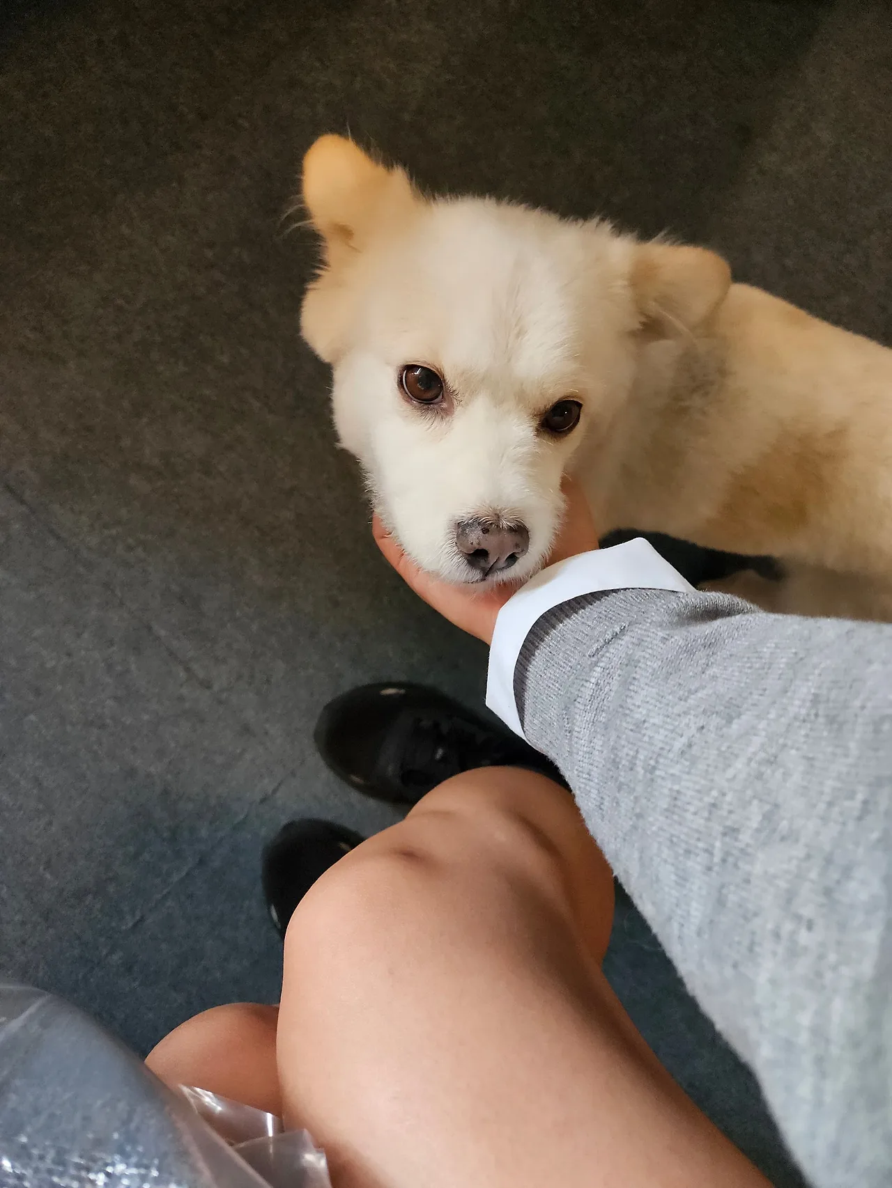 1000012129.jpg?type=w1600