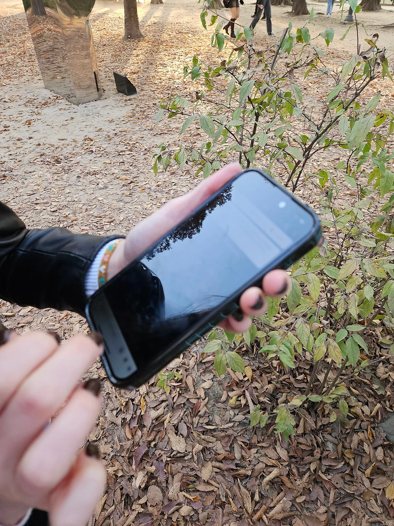 1000012158.jpg?type=w1600