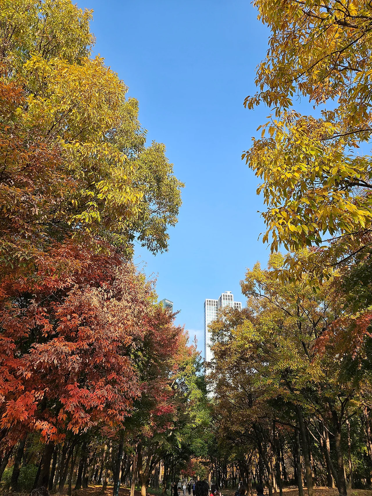 1000012149.jpg?type=w1600