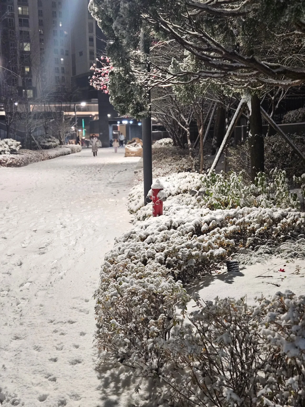 1280%EF%BC%BF20251204%EF%BC%BF193849.jpg?type=w1600