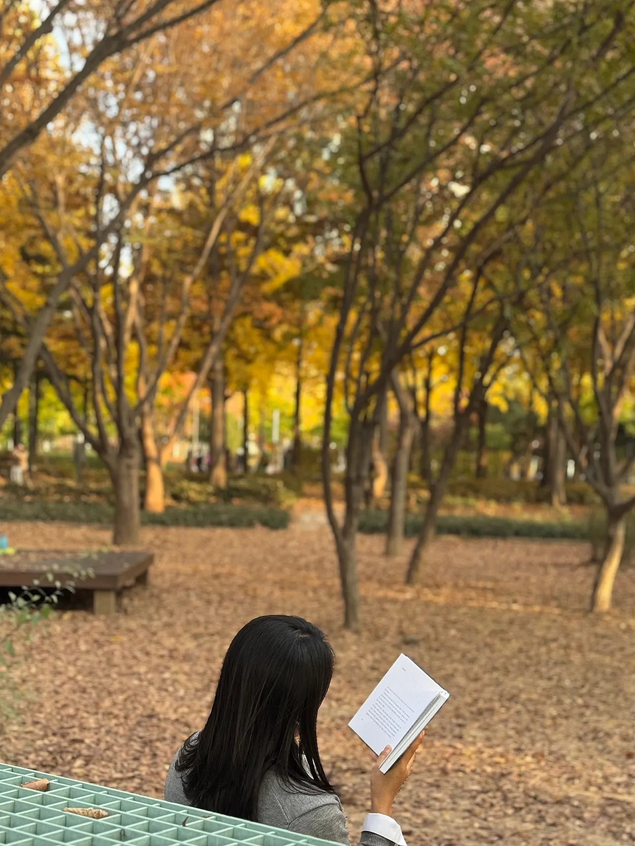 1000012162.jpg?type=w1600