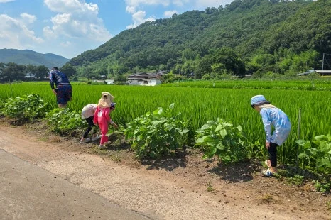 SE-24869b62-cd77-4ab4-961e-3525ae54ceaf.jpg?type=w466