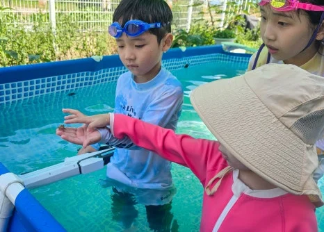 SE-5535ded5-4261-49cd-8b49-3298d87d7661.jpg?type=w466