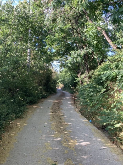 3_82iUd018svc1jts6quy8rfi7_rtxloq.jpg?type=e1920_std