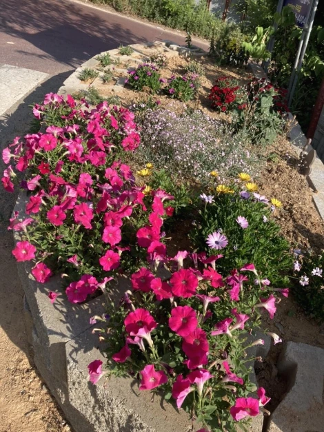 a_c31Ud018svc1uj42wr0r9whi_rtxloq.jpg?type=e1920_std