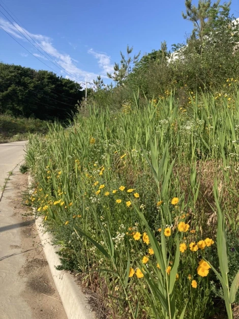 f_i2gUd018svc14jcu8tls8zfn_rtxloq.jpg?type=e1920_std