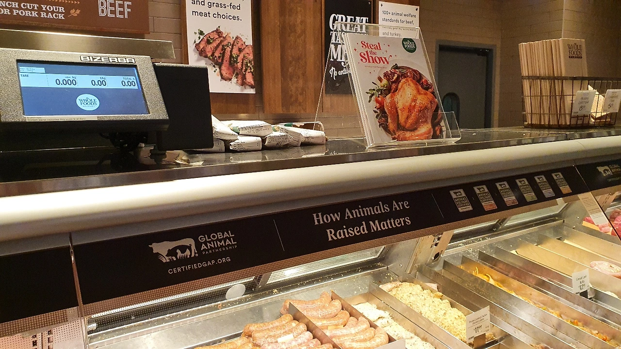 KakaoTalk_Photo_2022-10-10-19-00-33 004.jpeg