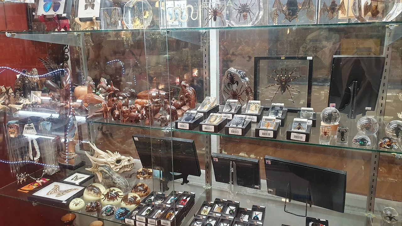 KakaoTalk_Photo_2023-05-29-23-12-35 023.jpeg